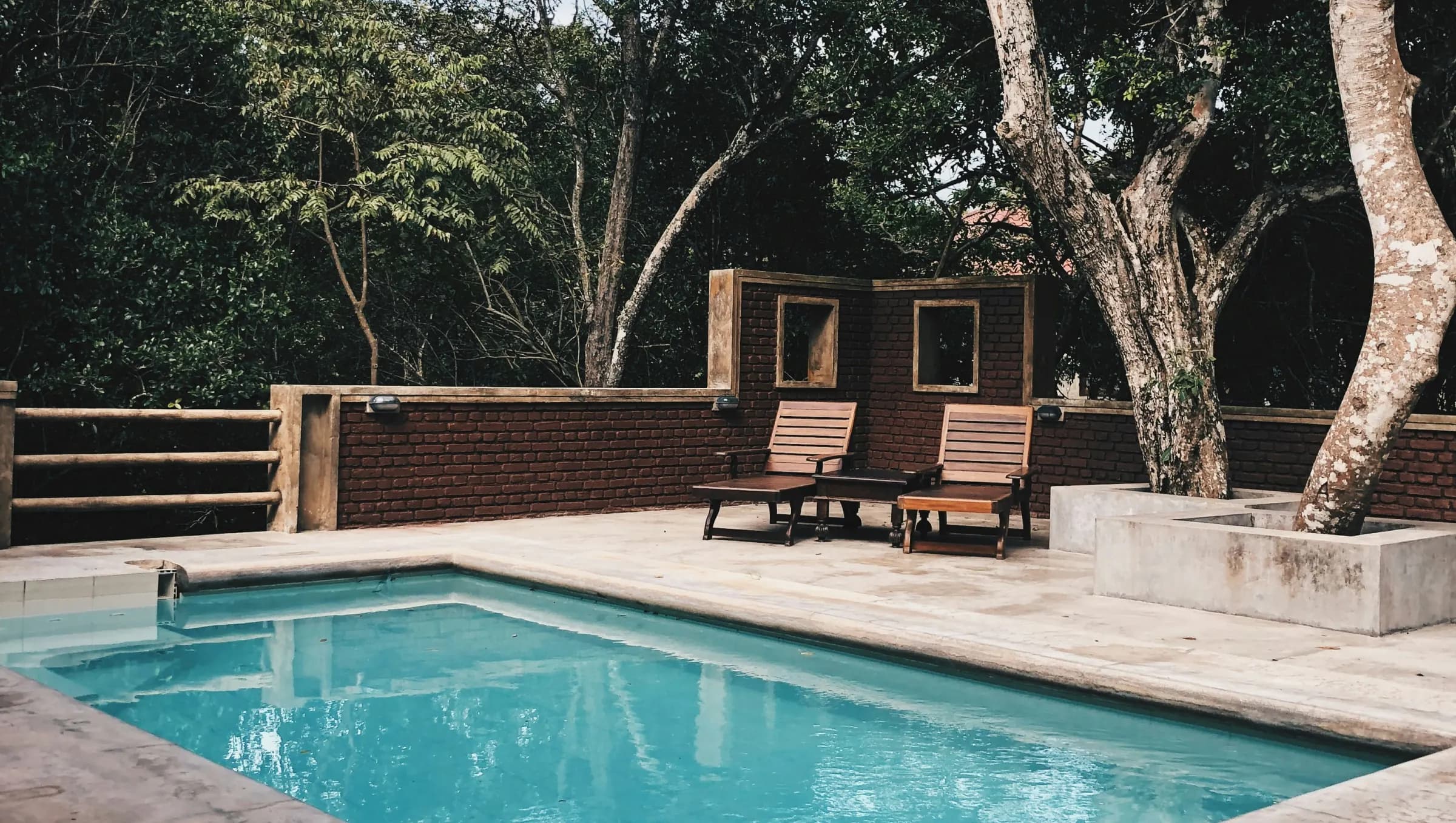 A tranquil outdoor swimming pool surrounded by mature trees